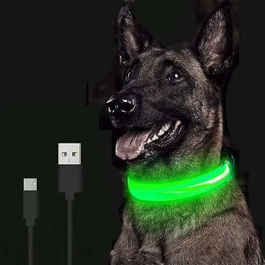 Adjustable LED Pet Collar  Pawsome zkcreartive LED collar  