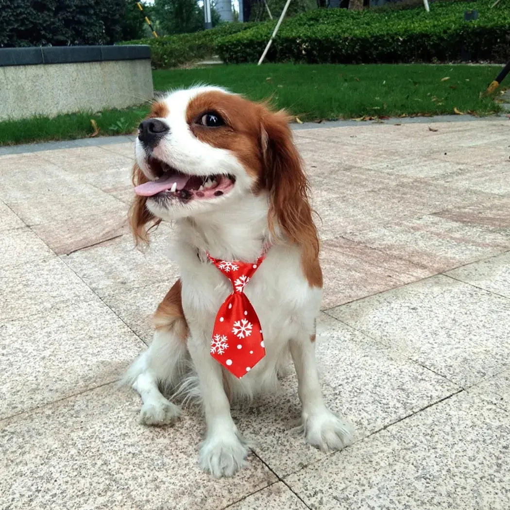 Dapper Dog Christmas Necktie – Let Your Pup Steal the Show! 🎄🐾  Pawsome zkcreartive Dapper Dog Christmas Necktie  