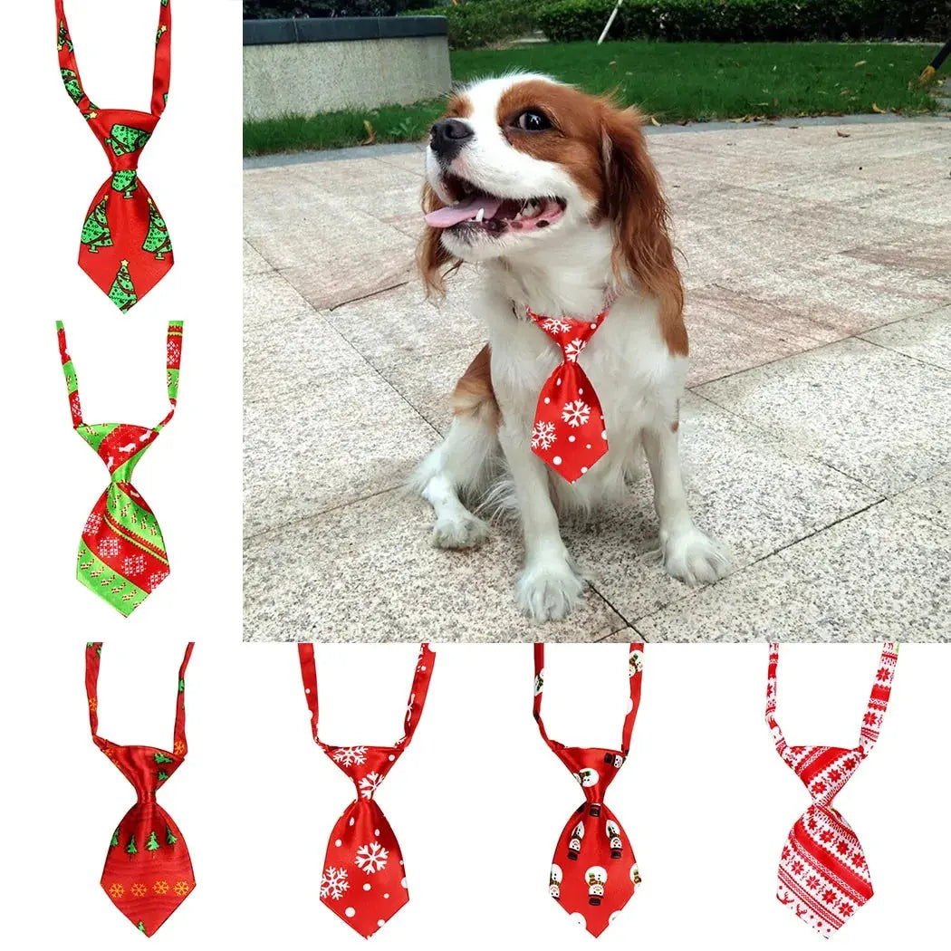 Dapper Dog Christmas Necktie – Let Your Pup Steal the Show! 🎄🐾  Pawsome zkcreartive Dapper Dog Christmas Necktie  