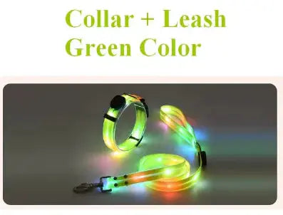 Glowing Pet Leash – Light Up Your Walks in Style!  Pawsome zkcreartive Glowing Pet Leash Green-Collar-Leash 