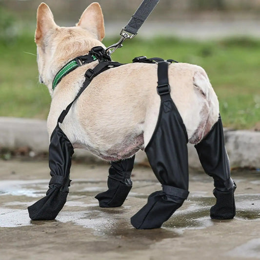 Introducing Suspender Dogs Boots: Paw Protection Redefined! - Pawsome zkcreartive