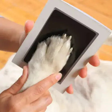 Paw Print Clean Touch Ink Pad  Pawsome zkcreartive   