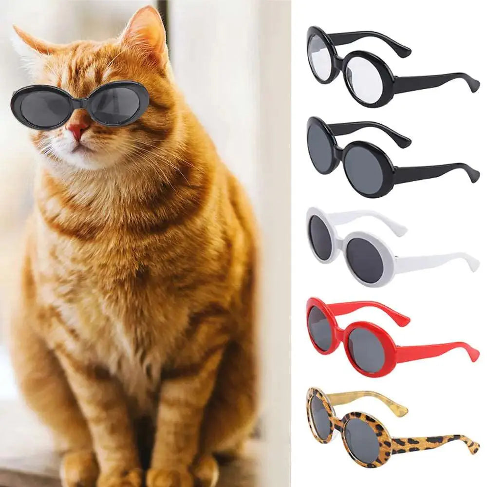 Pet Eyeglasses Photograph Prop Accessories - Pawsome zkcreartive