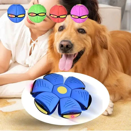 Pets Magic UFO Ball - Pawsome zkcreartive