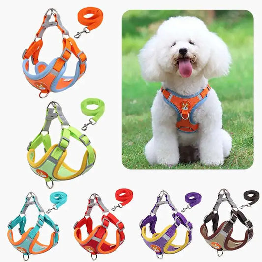 Reflective Pet Harness And Leash Set - Pawsome zkcreartive