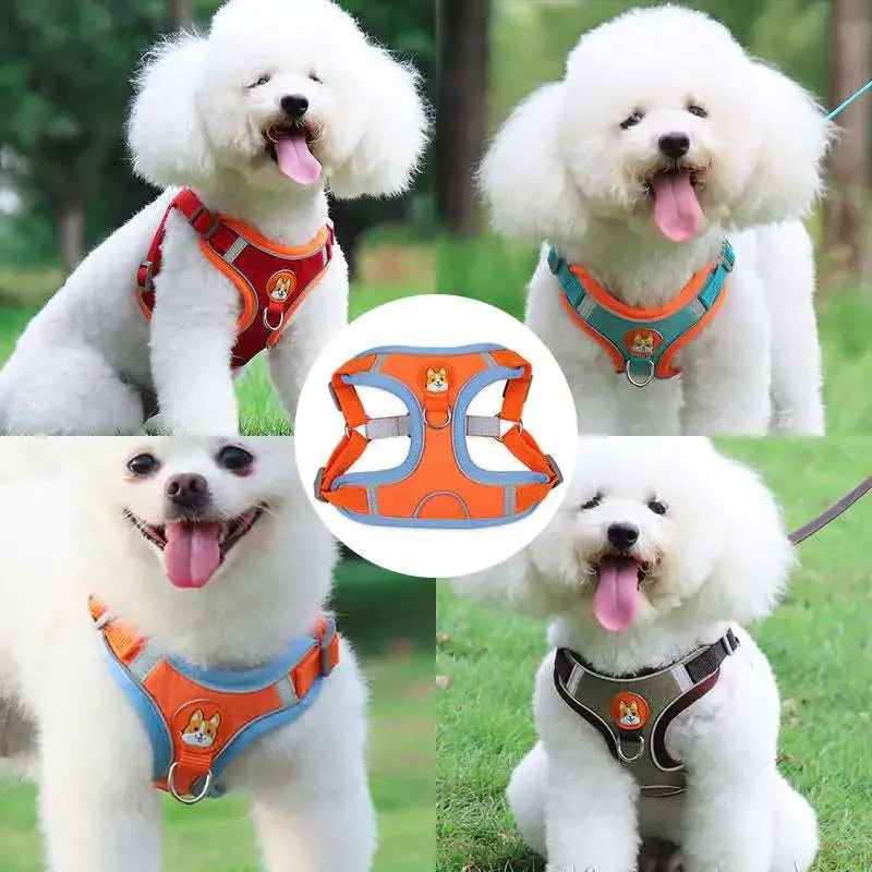 Reflective Pet Harness And Leash Set - Pawsome zkcreartive