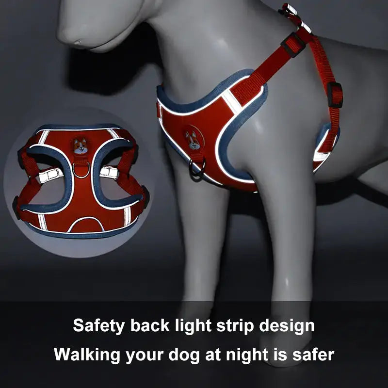 Reflective Pet Harness And Leash Set - Pawsome zkcreartive