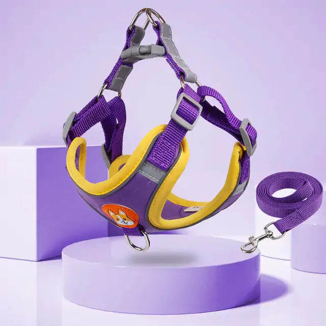 Reflective Pet Harness And Leash Set  Pawsome zkcreartive pet harness and lead Purple-XL-for10-14kg 