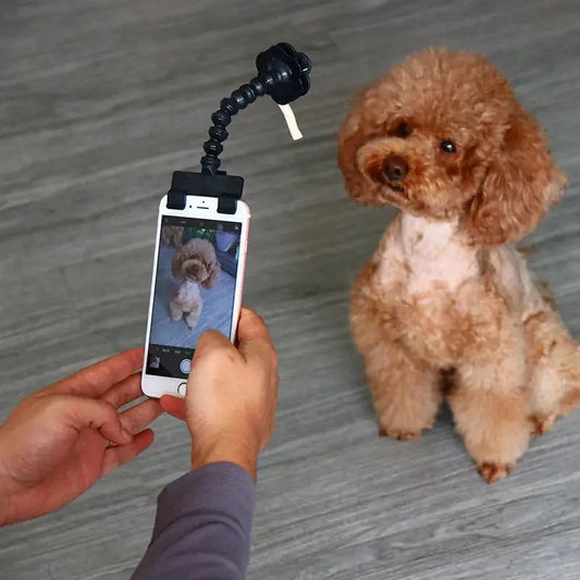 Selfie Stick for Pets Dog Cat - Pawsome zkcreartive